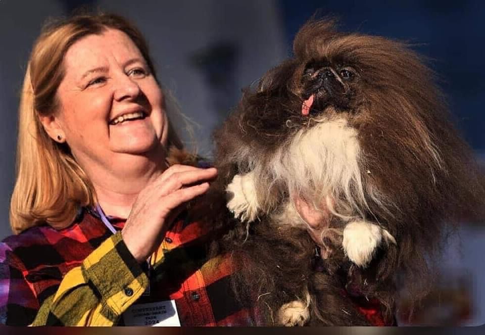 El perro más feo del mundo