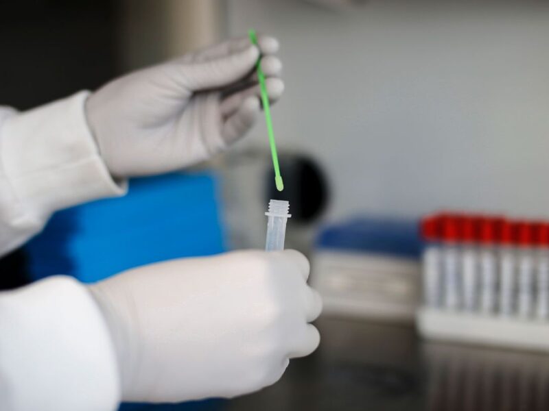 exploran como combatir resistencia a los antibióticos