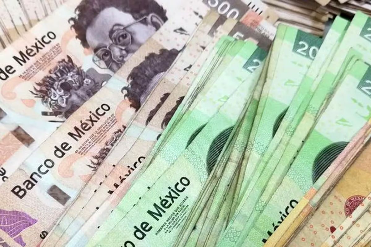 Las participaciones federales en Michoacán