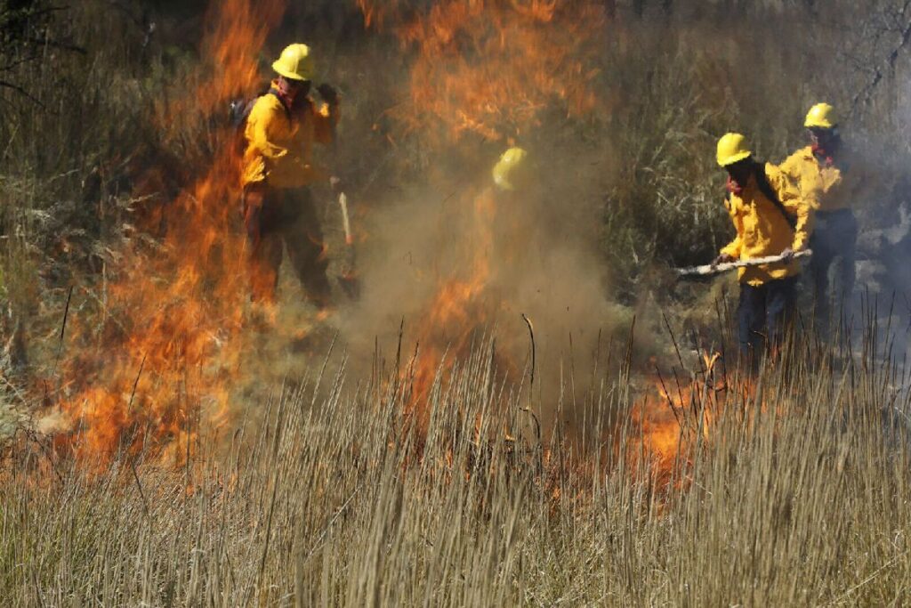 llaman a evitar incendios forestales en la entidad