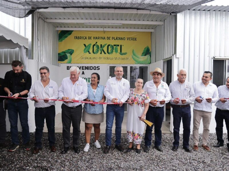 Michoacán cuenta con primer planta de harina de plántano