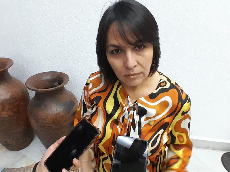 PAN opción Lariza Pérez 2024