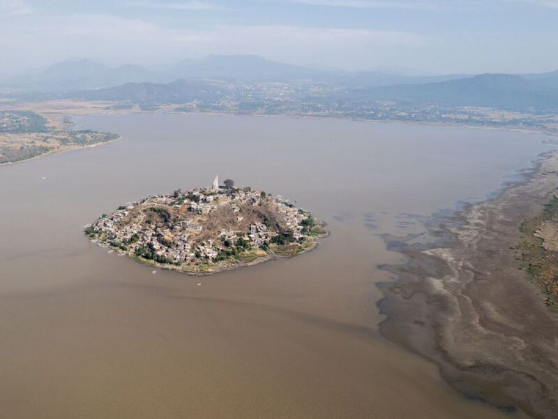 reforestación lago de Pátzcuaro 2024