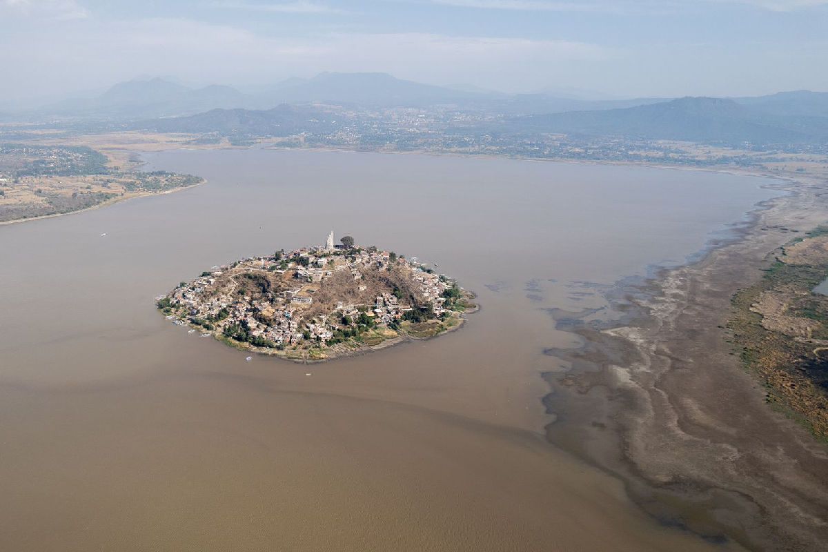 reforestación lago de Pátzcuaro 2024