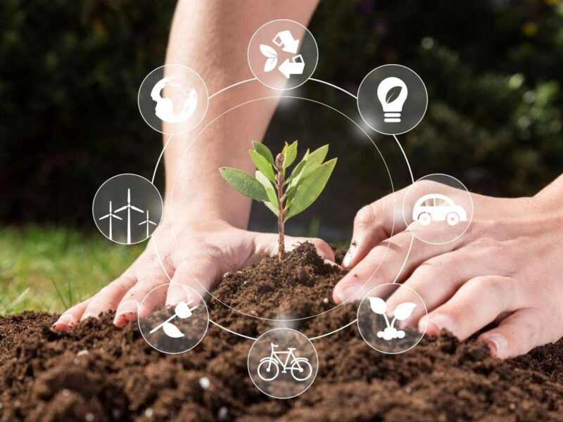agricultura sostenible méxico cambio climático