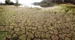 Aumento de temperatura dejará en pocos años regiones del planeta inhabitables