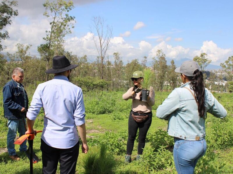 Arranca Gobierno estatal reforestación de Áreas Naturales Protegidas