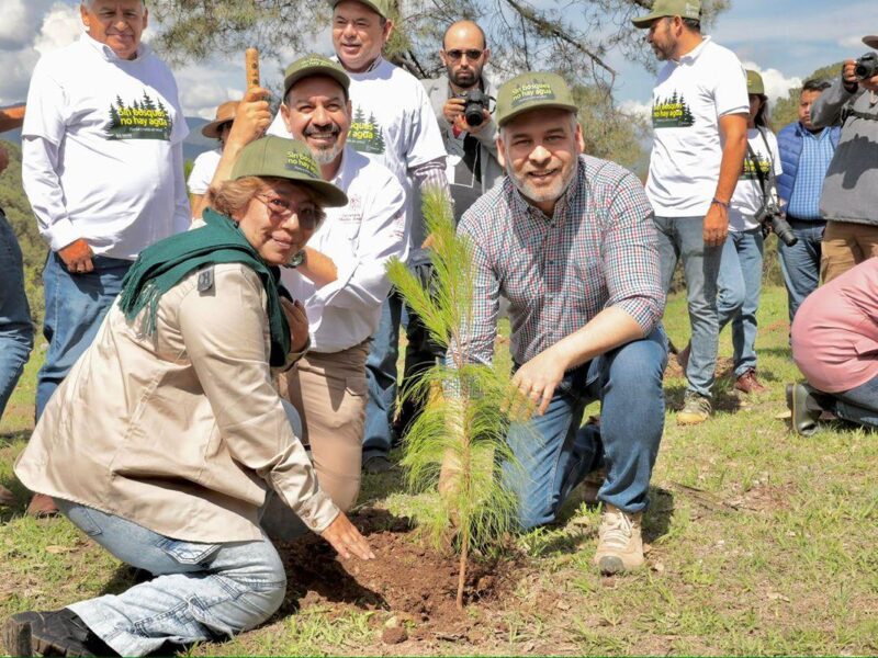 arranque reforestación simultánea municipios michoacán