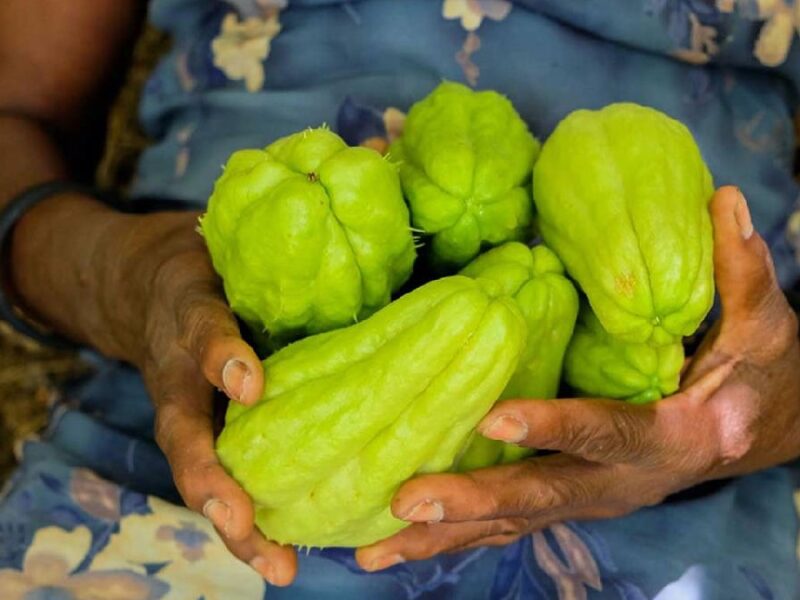 Chayote y otras verduras impulsan la inflación en México