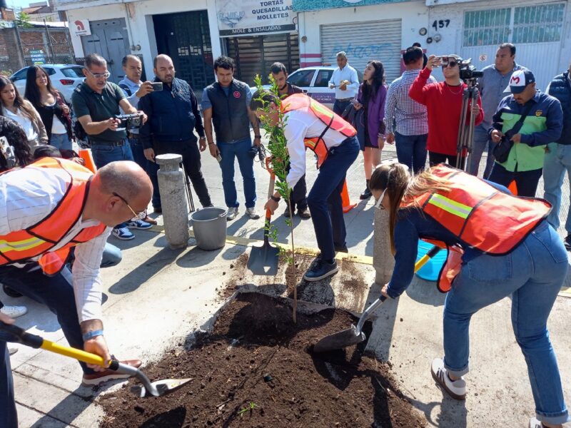 Contará con gran variedad de árboles el programa de plantar en Morelia