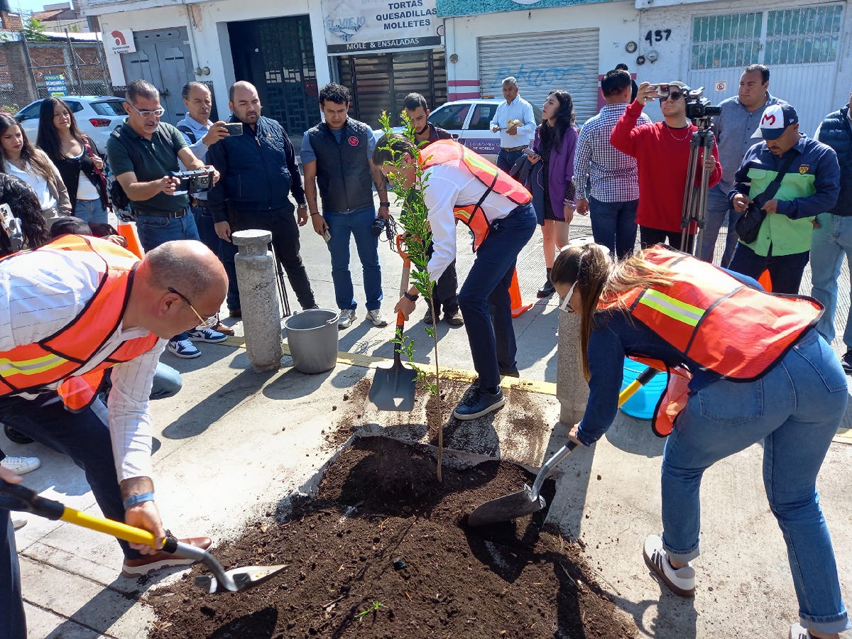 Contará con gran variedad de árboles el programa de plantar en Morelia