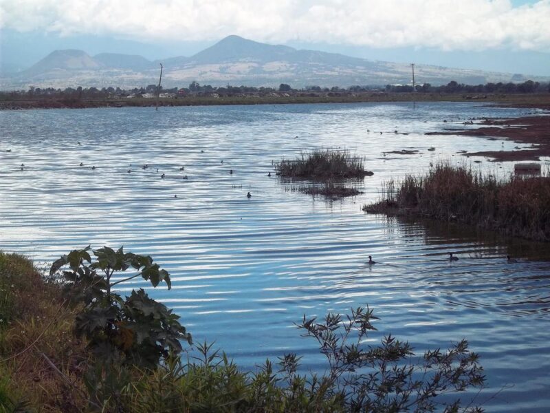 El Río Grande de Morelia