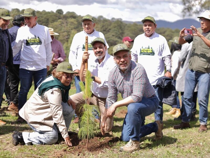 emprende Bedolla acciones de reforestación en Michoacán