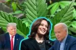 Kamala Harris: Enfoque progresista sobre la legalización de la marihuana
