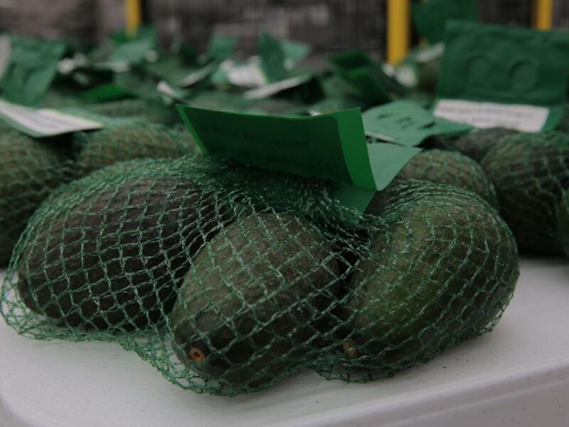 Michoacán, primer lugar nacional en exportaciones agrícolas