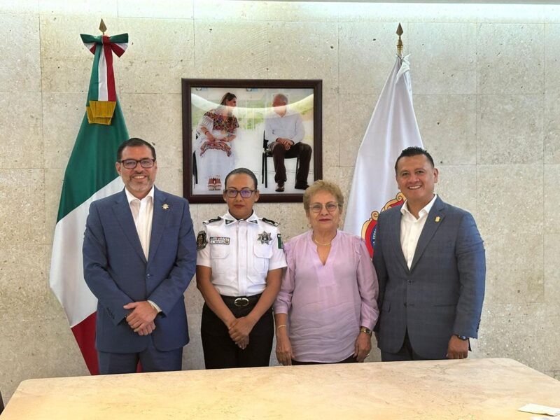 michoacán y guerrero seguridad acciones
