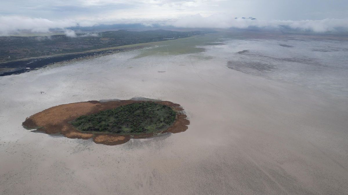 recuperación lago de cuitzeo inversión