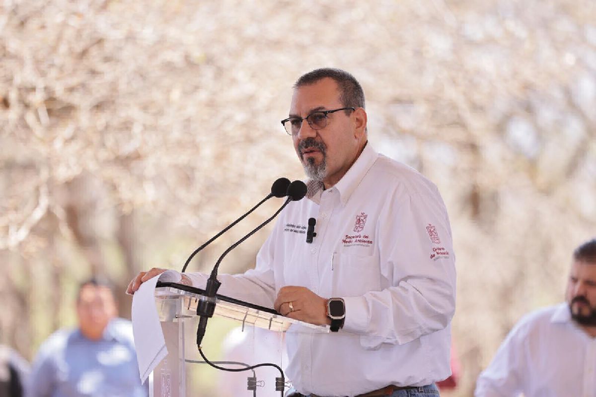 Reforestación en Michoacán con prioridad en areas protegidas