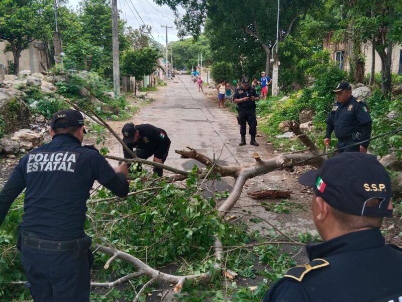 Reportan afectaciones por el paso del huracán Beryl en Quintana Roo