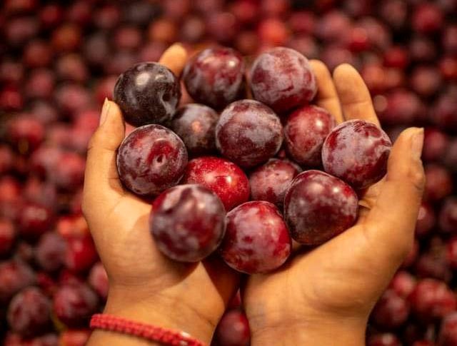 sobrepoducción de cultivos provocaron afectación en Zinapécuaro