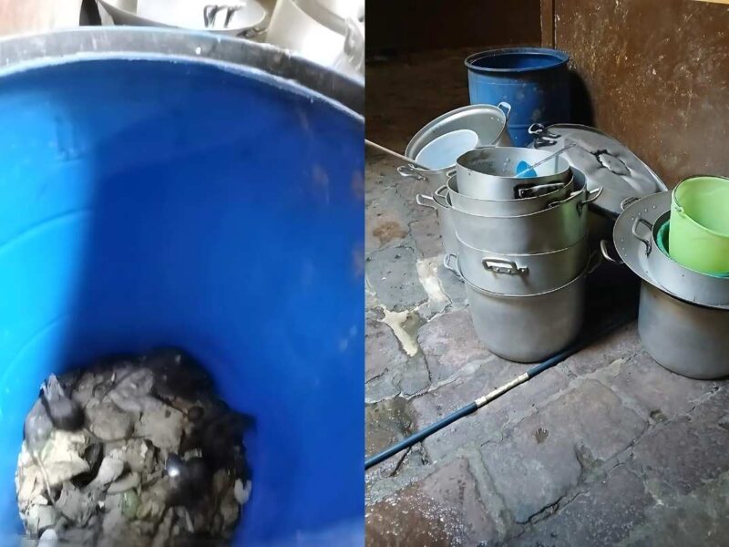 El SUEUM denuncia una preocupante plaga de ratas en la casa del estudiante nicolaita de Morelia, evidenciando el abandono y la negligencia de las autoridades universitarias
