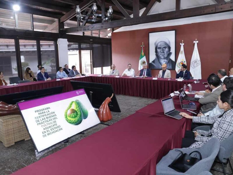 certificación voluntaria al aguacate en Michoacán