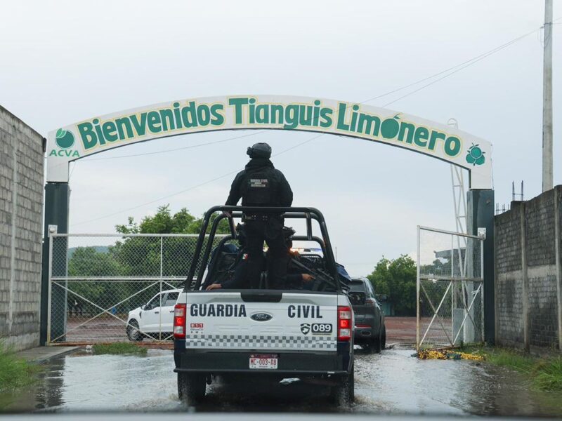 El control tianguis limonero en Apatzingán