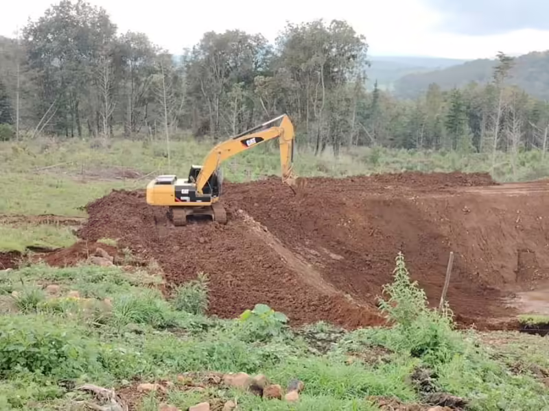 FGE Michoacán detiene a tres por tala y cambio de uso de suelo