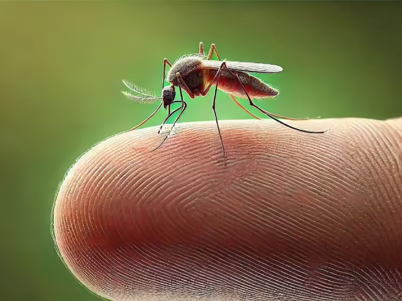 Si tienes fiebre, dolor detrás de los ojos o debilidad, podría ser dengue señala SSM