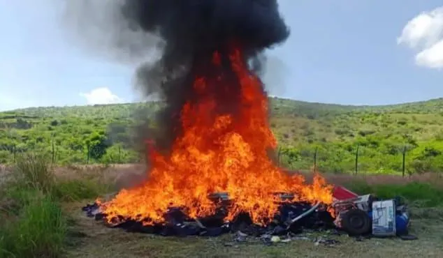 destrucción de de narcóticos en Michoacán