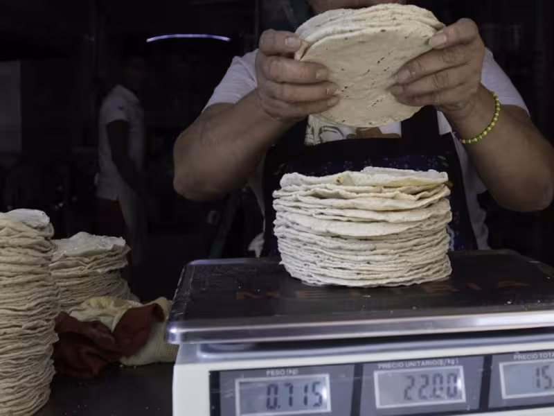 México promete reducción en precio de la tortilla en 10% autosuficiencia en maíz y frijol