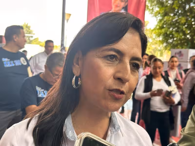 No hay escuelas de palitos en Michoacán