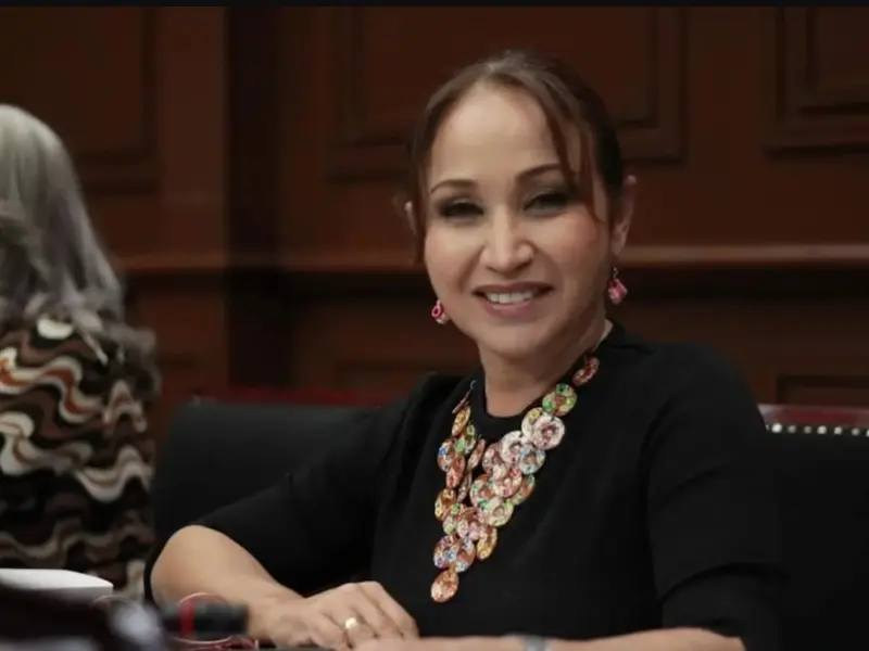 La diputada Itzé Camacho Zapiain renunció a su curul al solicitar licencia al Congreso de Michoacán para buscar la dirigencia estatal de Morena