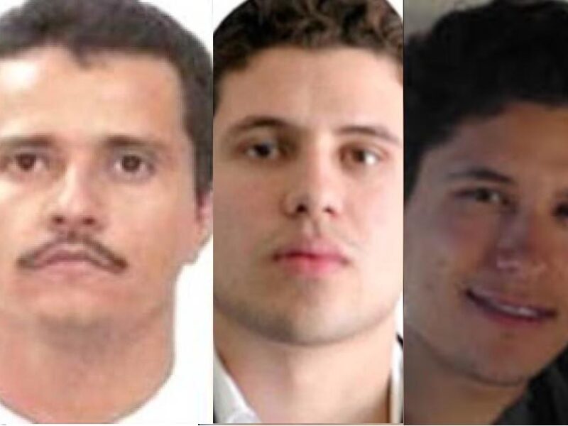 alianza CJNG Chapitos vs Los Mayos