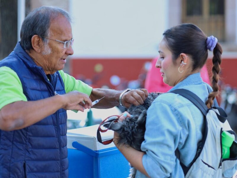 Anuncia SSM vacunación antirrábica para perros y gatos, en Morelia