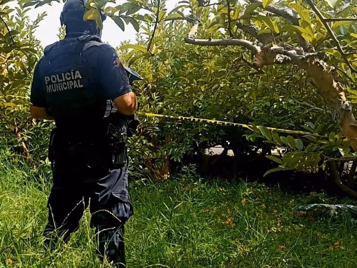 asesinato en huerto de guayabas de Jungapeo
