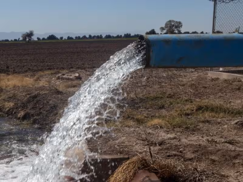 desperdicio de agua en agricultura
