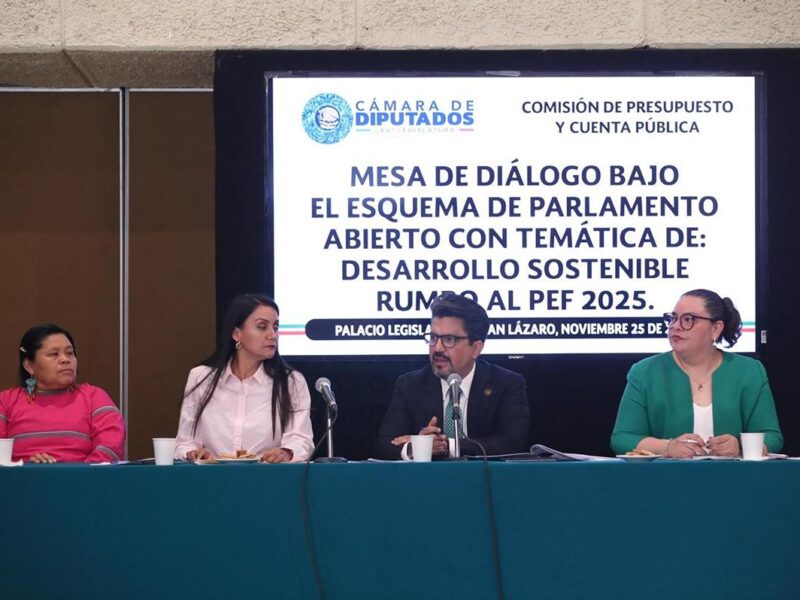 PEF 2025 desarrollo sostenible análisis