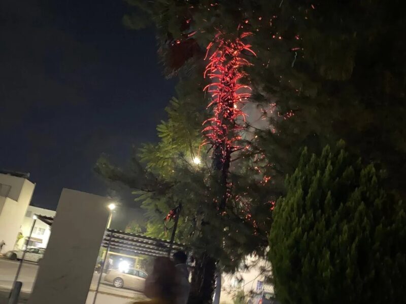 Incendio en Nueva Aldea y Ayuntamiento de Morelia abandona a vecinos