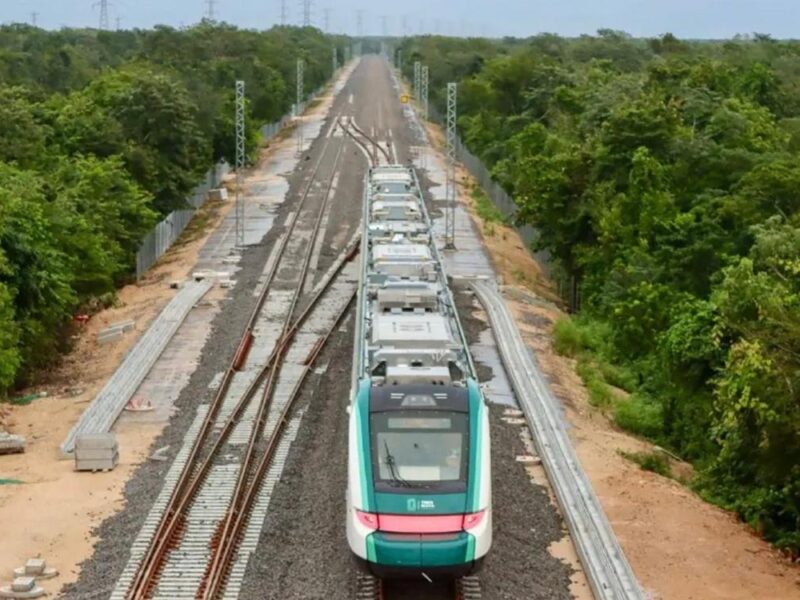 Protección del Tren Maya a la fauna
