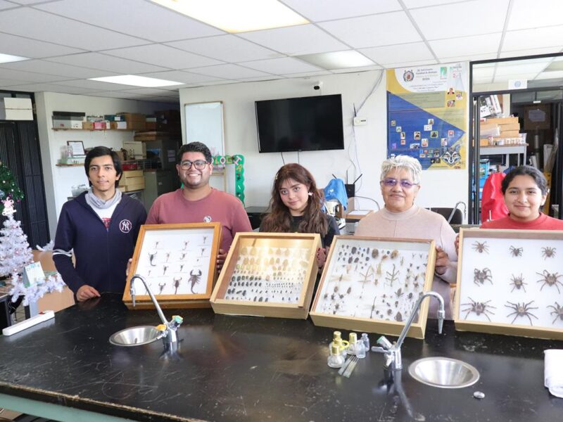 proyecto UMSNH 2024 naturaleza bichos