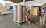 Incautan más de 500 kilos de mariguana en Veracruz con destino a República Dominicana