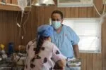 Jornadas de esterilización gratuita para mascotas en Michoacán