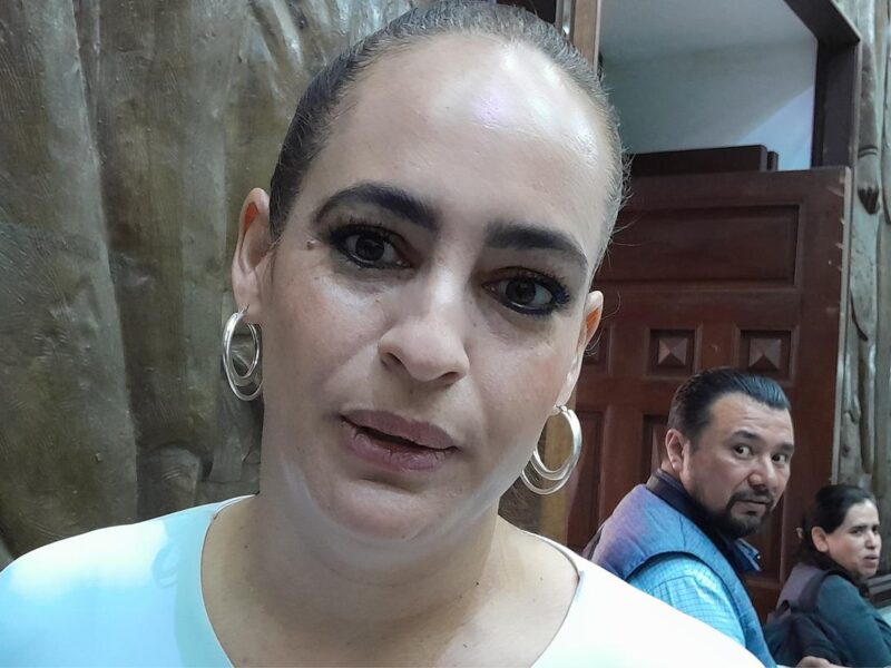 temas de partido deben estar fuera del trabajo legislativo Sandra Arreola Ruiz