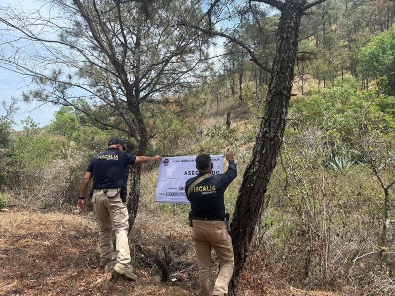 Asegura FGE predio relacionado en delitos ambientales en Morelia