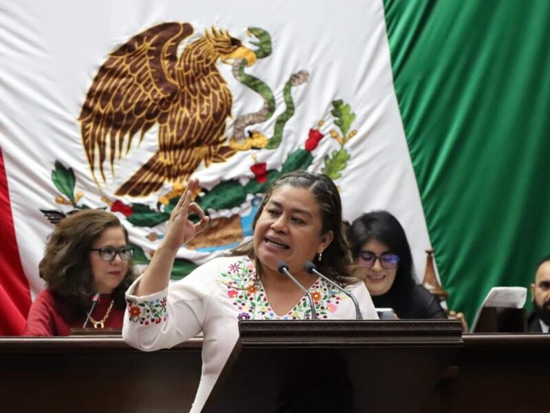 Belinda Iturbide: que ayuntamientos respeten normas ambientales en basureros municipales
