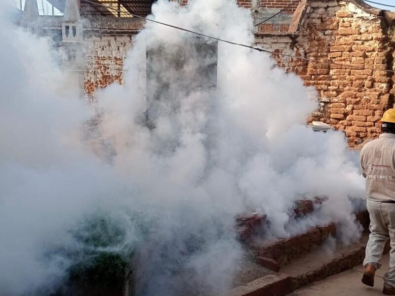 Con acciones preventivas, baja 52 % dengue en Michoacán: SSM