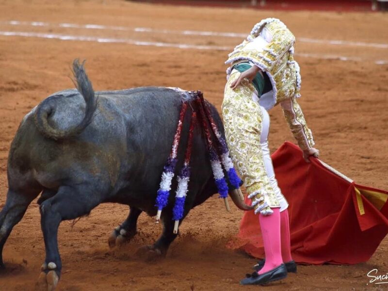 Corridas de Toros en México: propuesta Clara Brugada 1