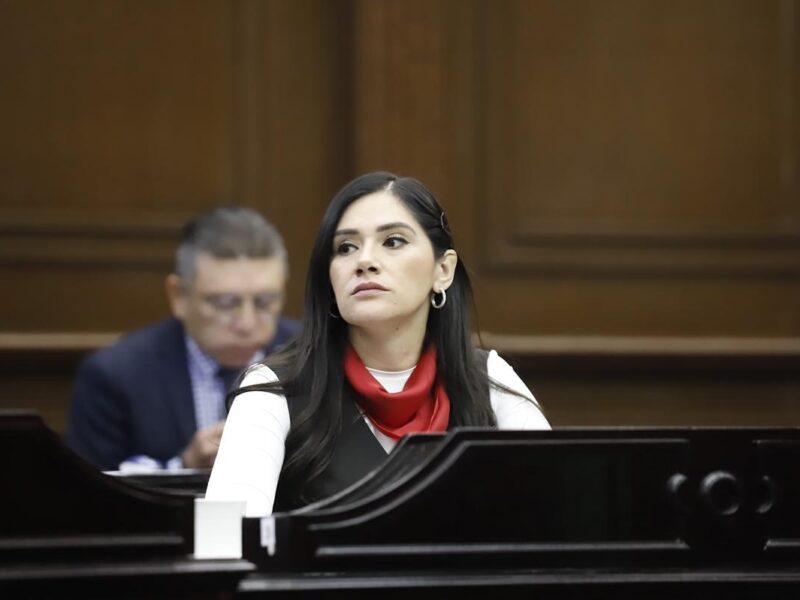 Desde las leyes debemos combatir la violencia de género: Diana Espinoza