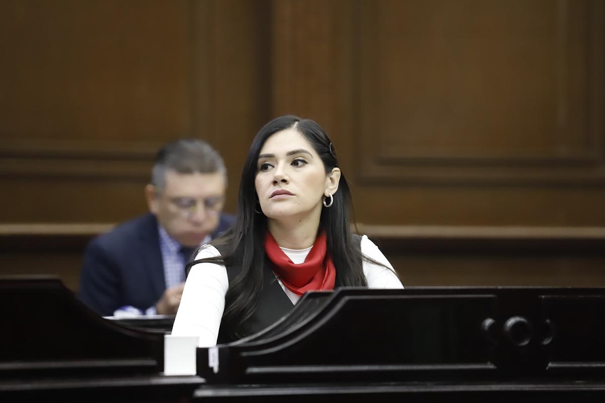Desde las leyes debemos combatir la violencia de género: Diana Espinoza